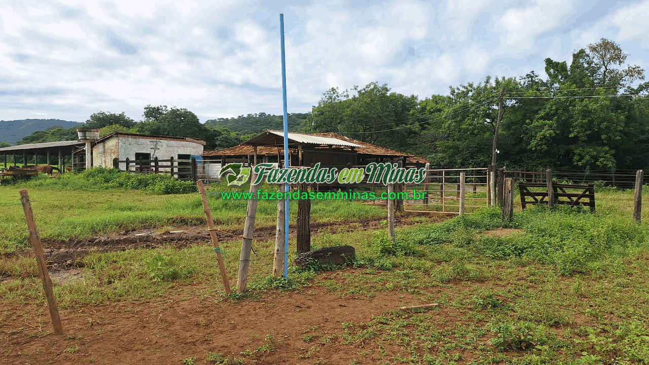 Cód.599       R$ 3.500.000,00
