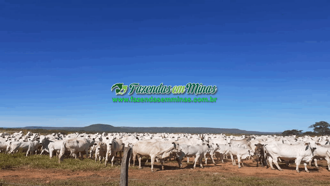 Cód.600         R$65.000.000,00