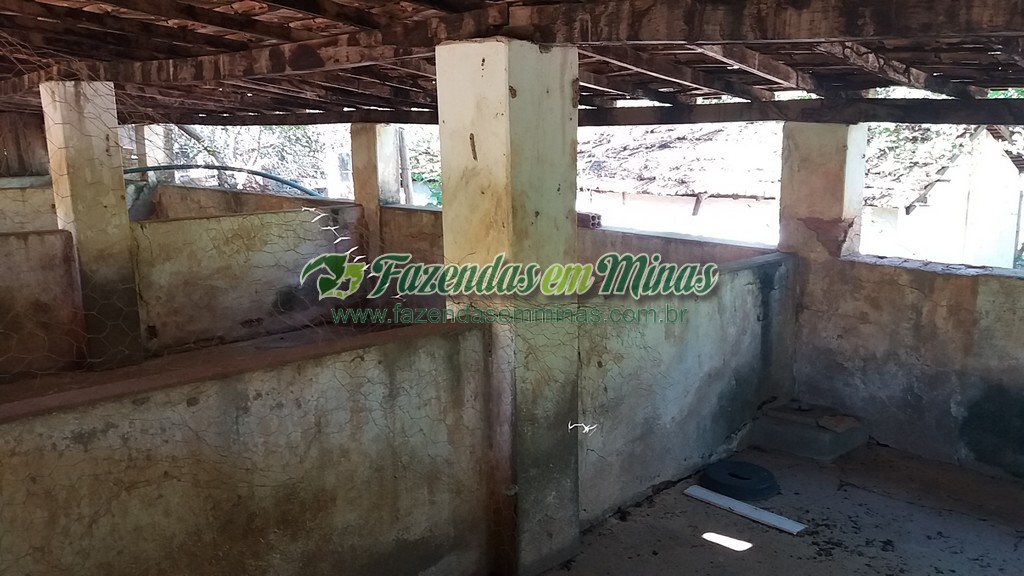 Fazenda 20 km do asfalto 