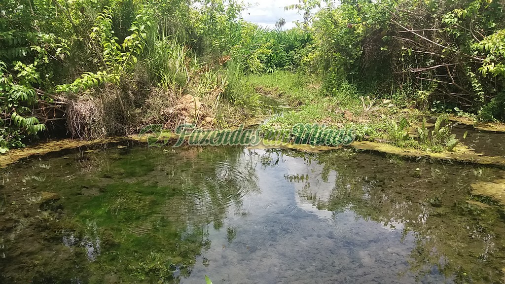 Fazenda município coração de Jesus para pecuária de leite e corte.