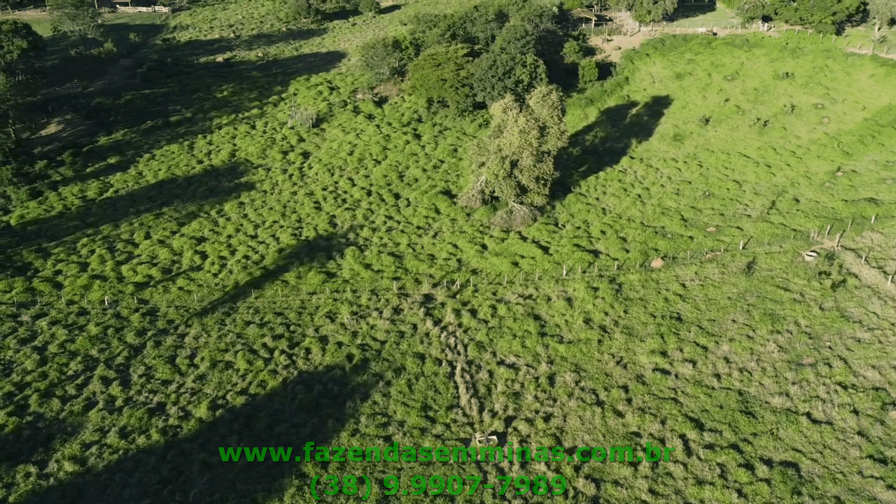 Sítio 4 hectares     R$ 600.000,00