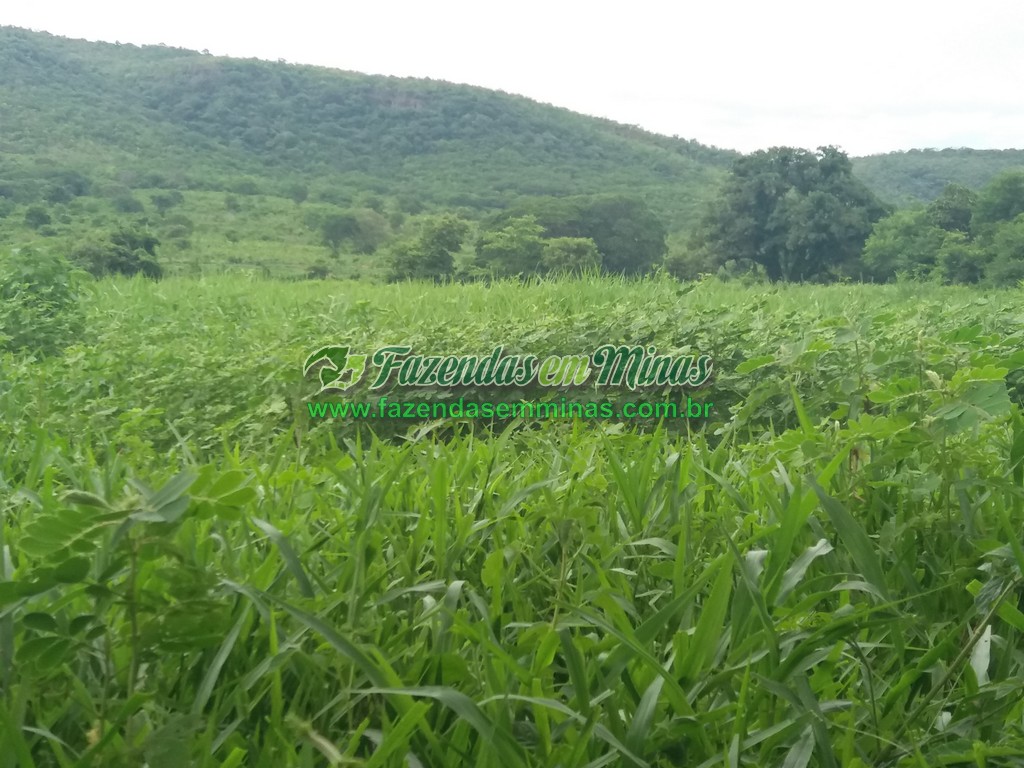 Cód.484       R$ 3.000.000,00