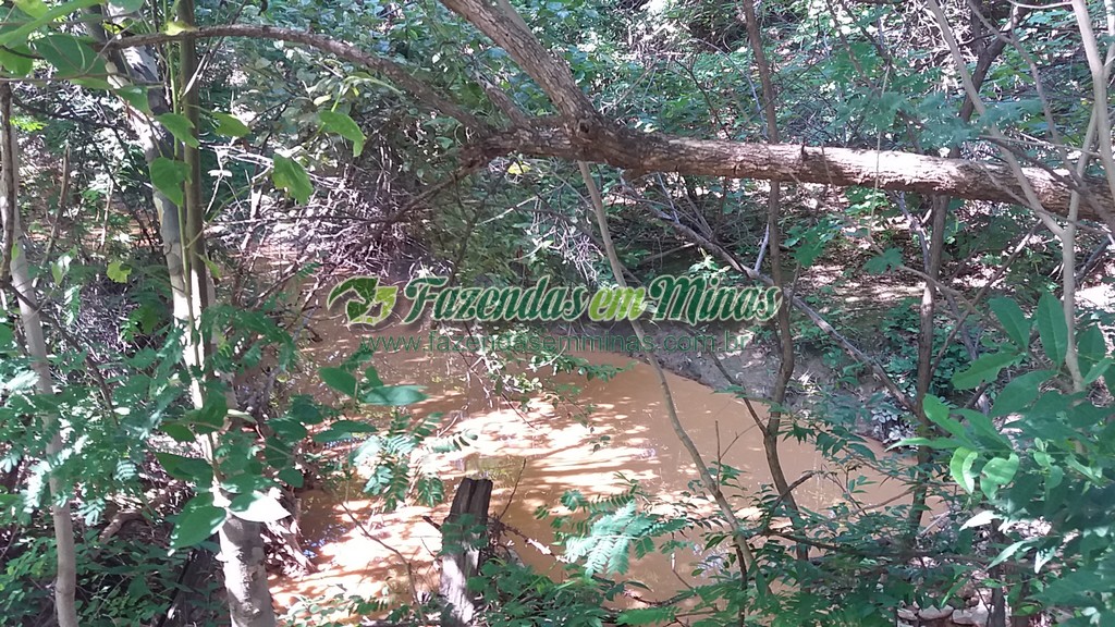 Fazenda 20 km do asfalto 