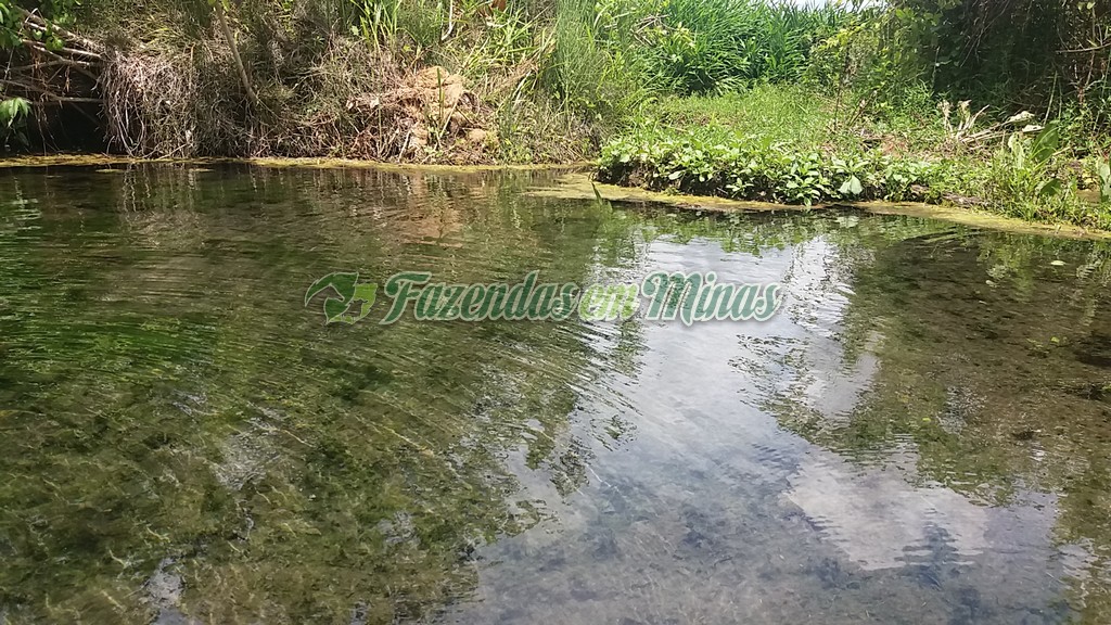 Fazenda município coração de Jesus para pecuária de leite e corte.