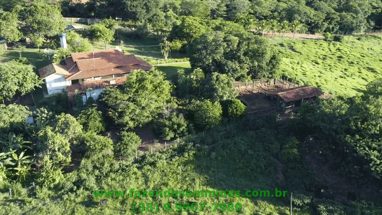 Sítio 4 hectares     R$ 600.000,00