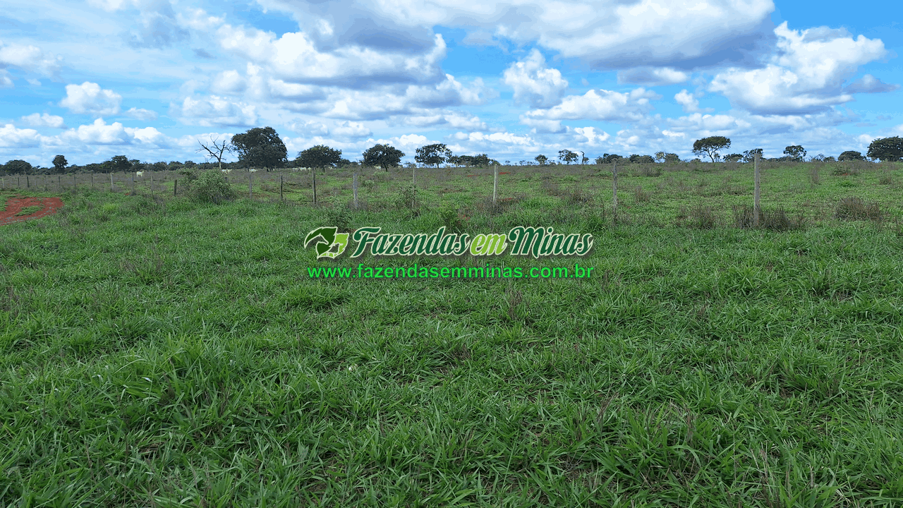 Cód.338         R$ 4.500.000,00