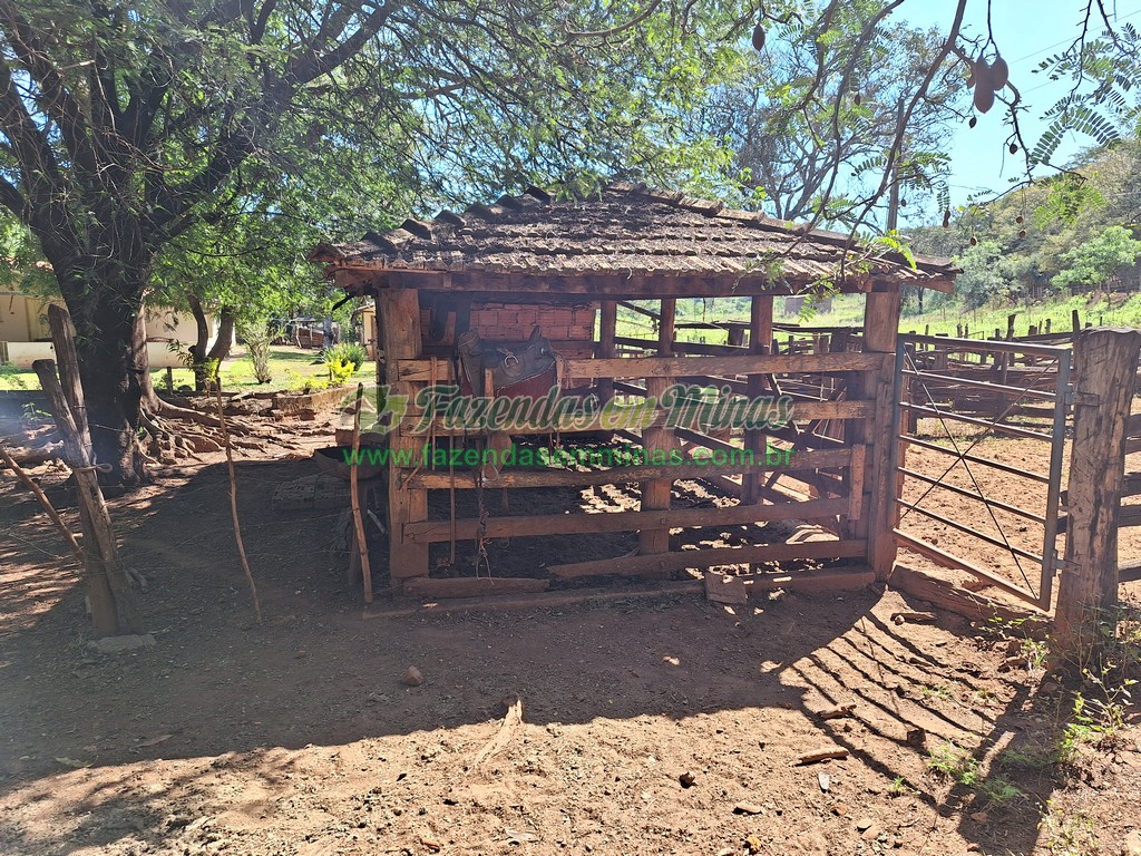Cód. 498     R$ 600.000,00
