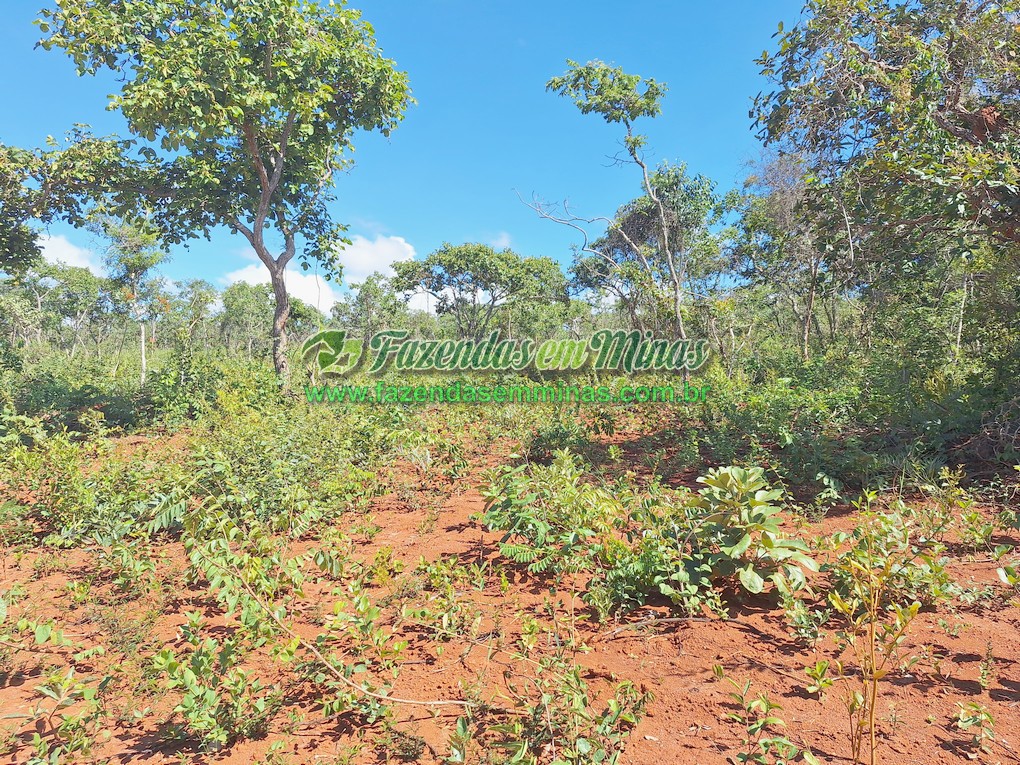 Cód.522     R$ 195.000,00