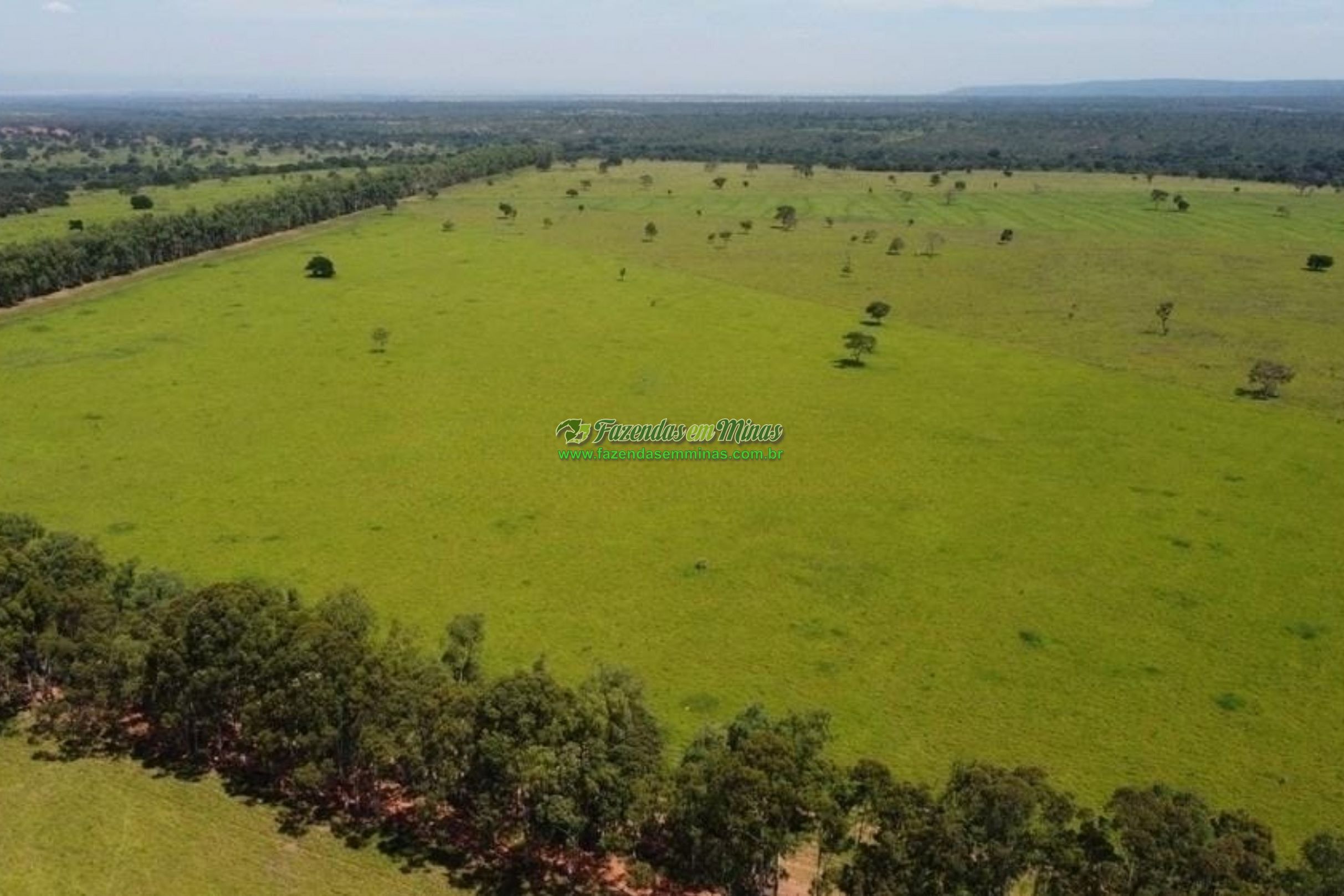 Cód.530              R$ 38.000.000,00