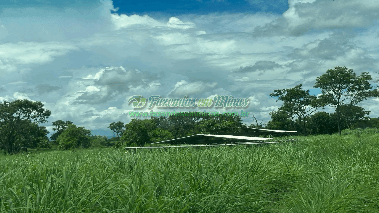 Cód.572         R$ 36.060.000,00