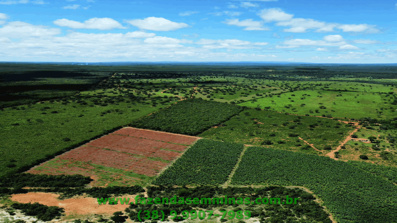 Cód. 593           R$ 6.080.000,00