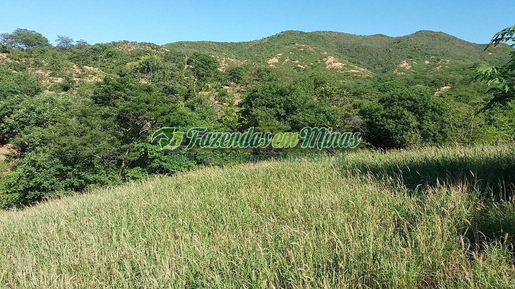 Fazenda 20 km do asfalto 