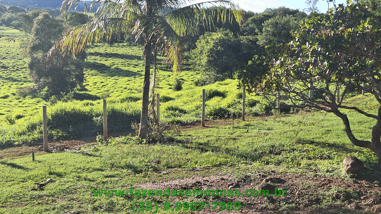Sítio 4 hectares     R$ 600.000,00