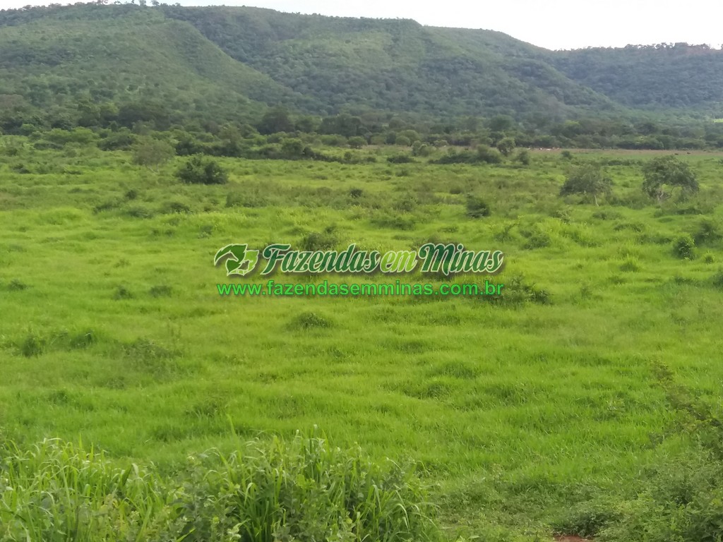 Cód.484       R$ 3.000.000,00