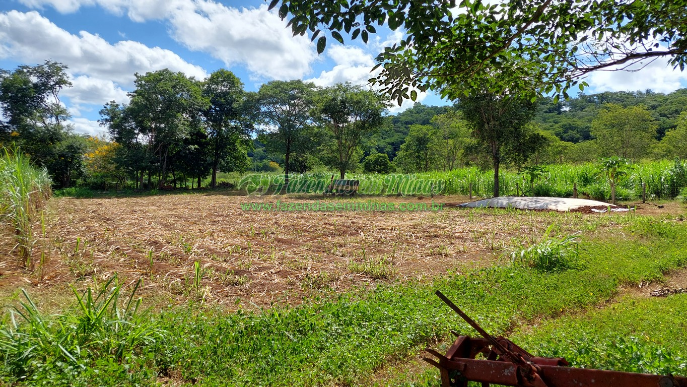 Cód. 493   R$ 1.450.000,00