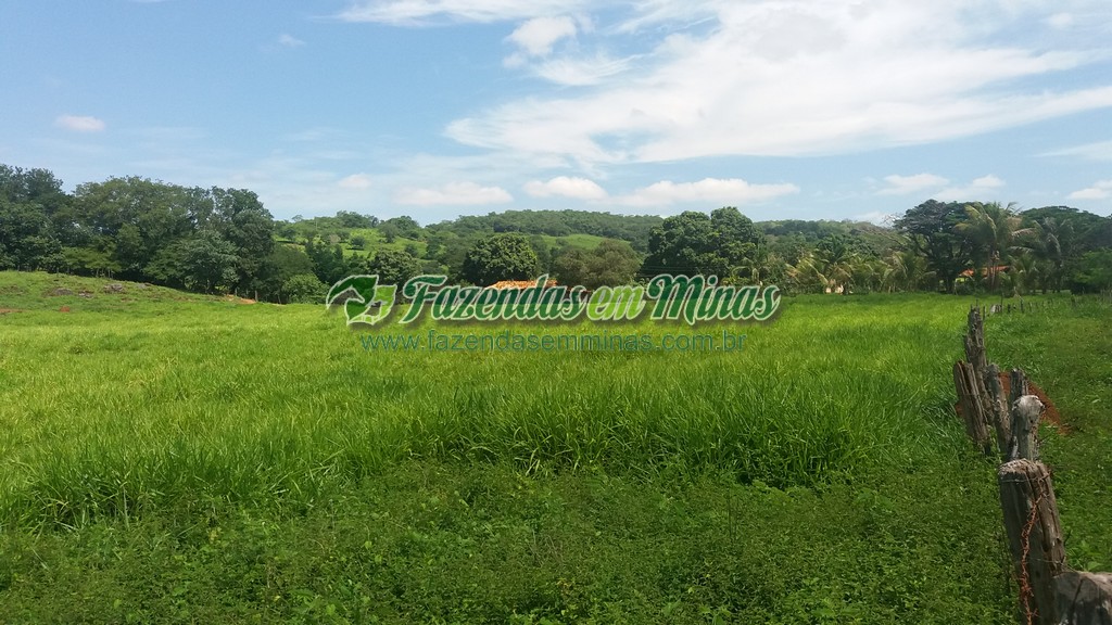 Fazenda  Cód.444  162 Ha  R$ 1.350.000