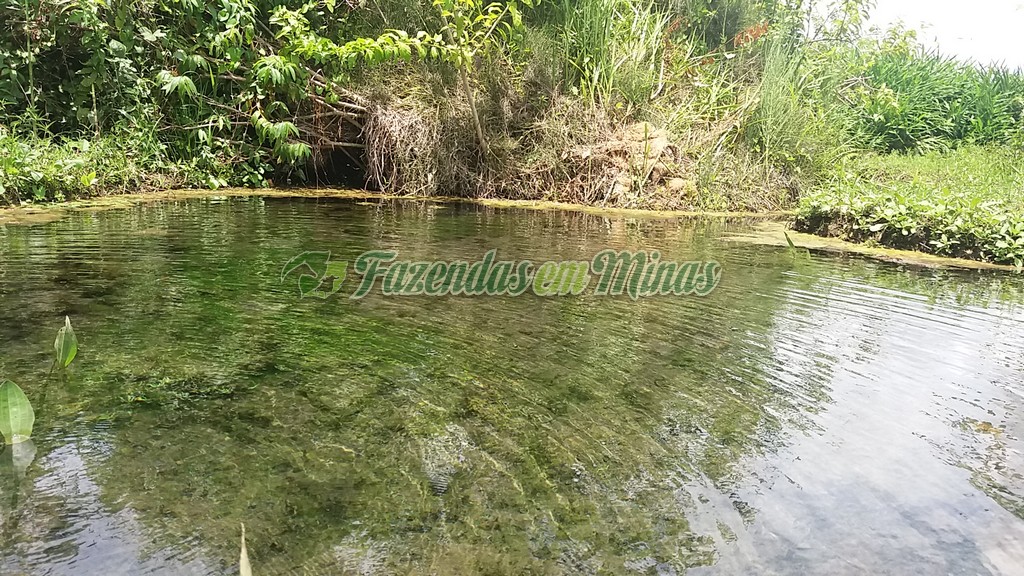 Fazenda município coração de Jesus para pecuária de leite e corte.