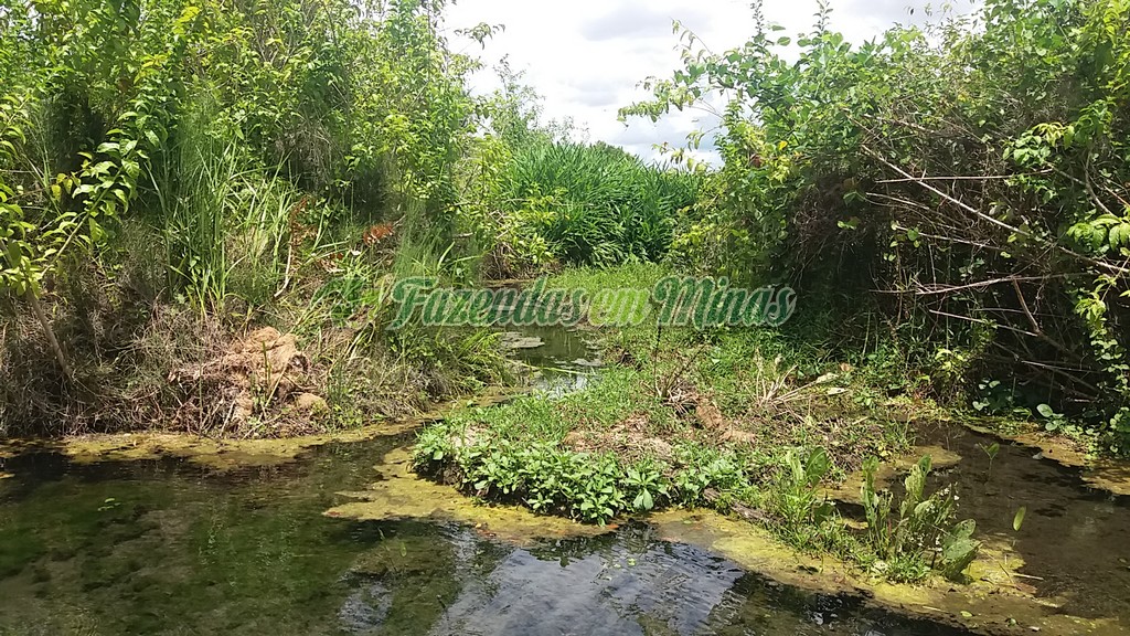 Fazenda município coração de Jesus para pecuária de leite e corte.