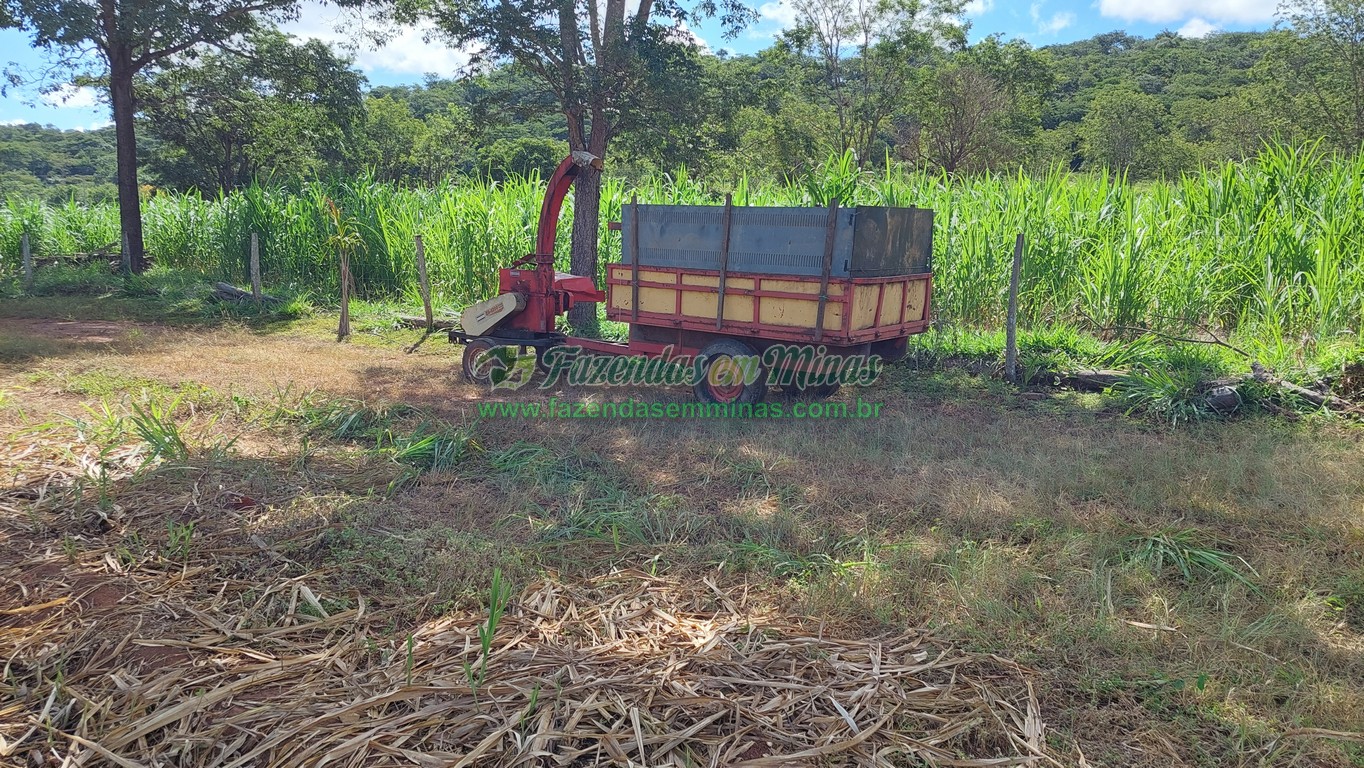 Cód. 493   R$ 1.450.000,00