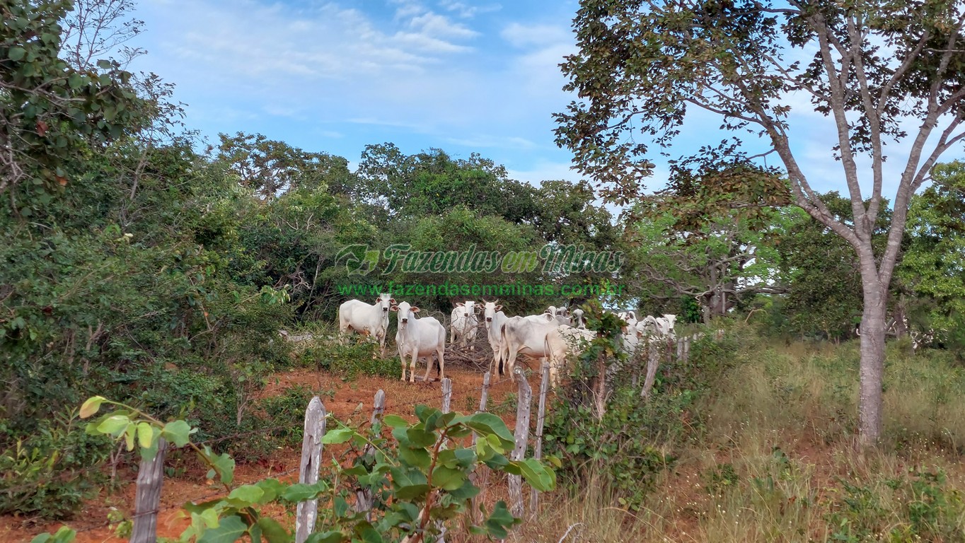 Cód. 495     R$ 1.800.000,00