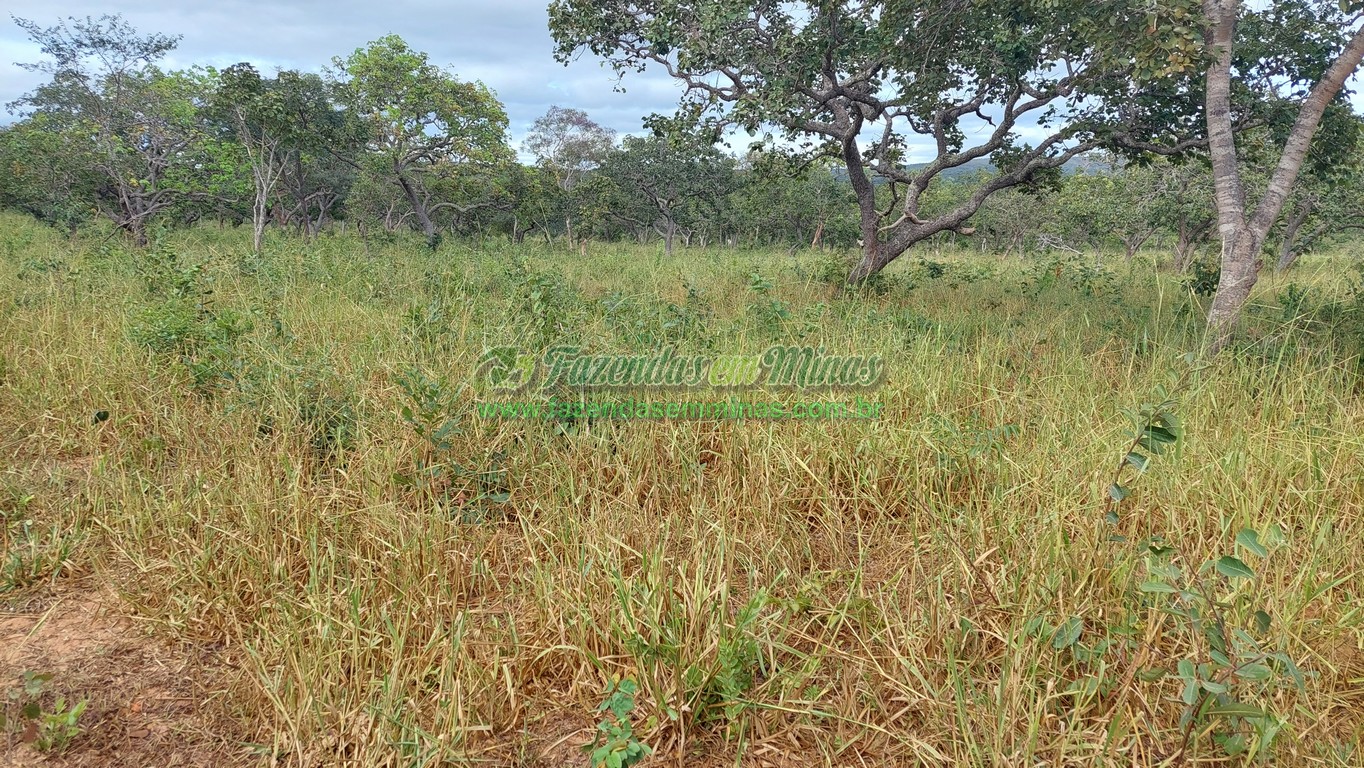 Cód. 495     R$ 1.800.000,00