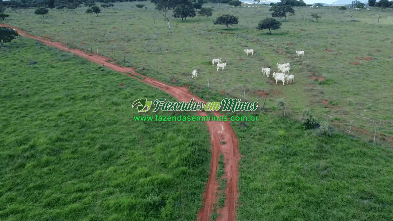 Cód.338         R$ 4.500.000,00