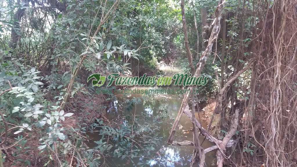 Fazenda  Cód.444  162 Ha  R$ 1.350.000