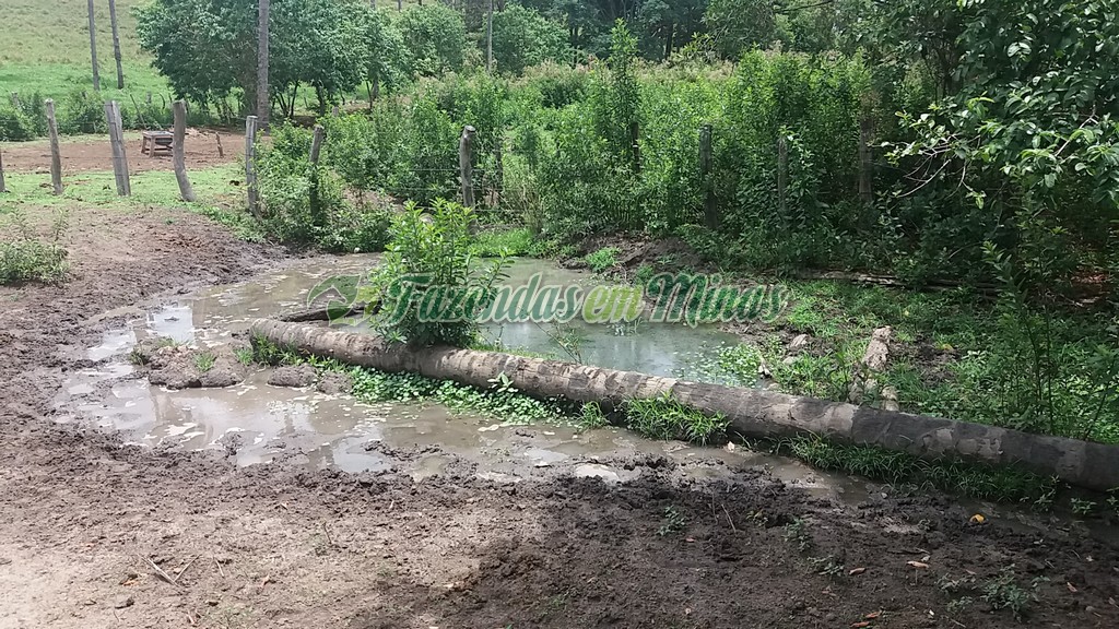 Fazenda município coração de Jesus para pecuária de leite e corte.