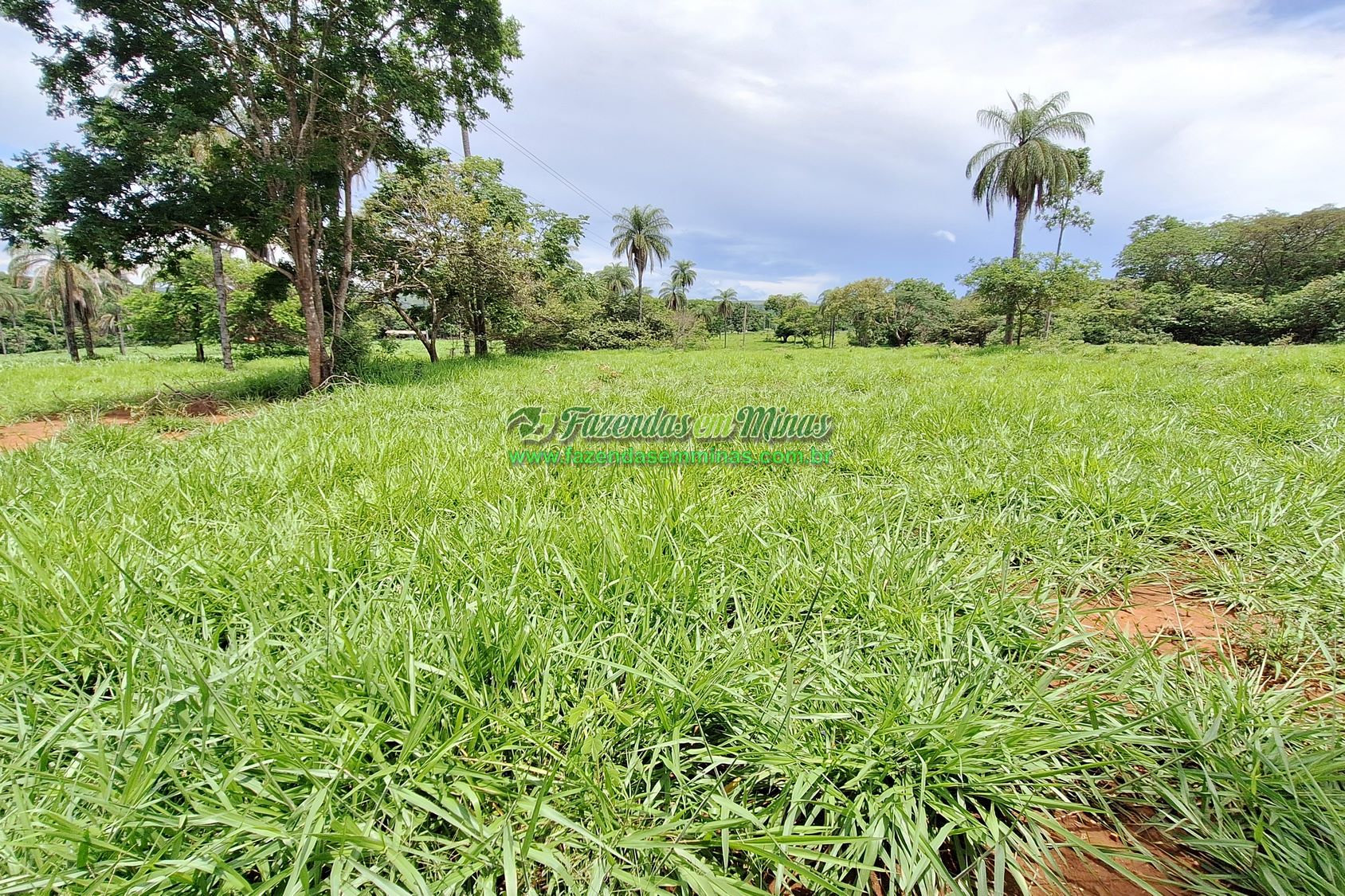 Cód.436               R$ 8.000.000,00