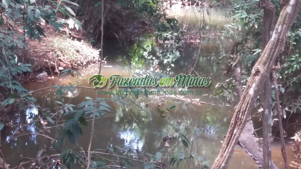 Fazenda  Cód.444  162 Ha  R$ 1.350.000