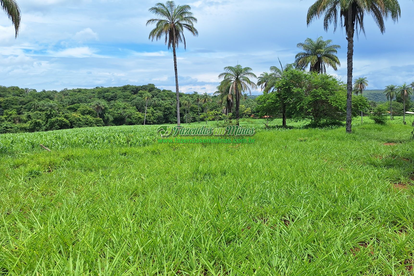 Cód.436               R$ 8.000.000,00