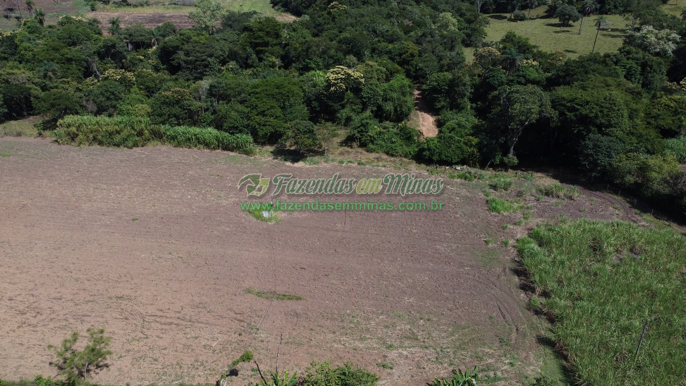 Cód. 493   R$ 1.450.000,00
