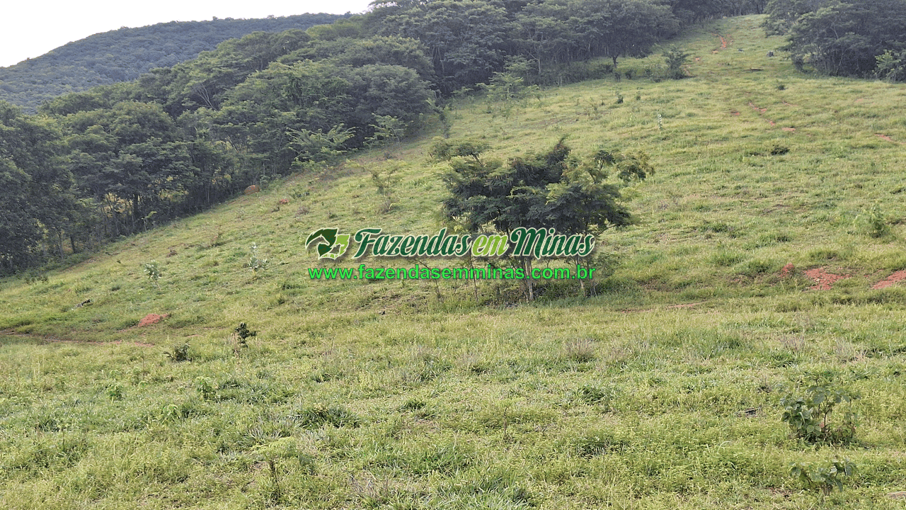 Cód.599       R$ 3.500.000,00
