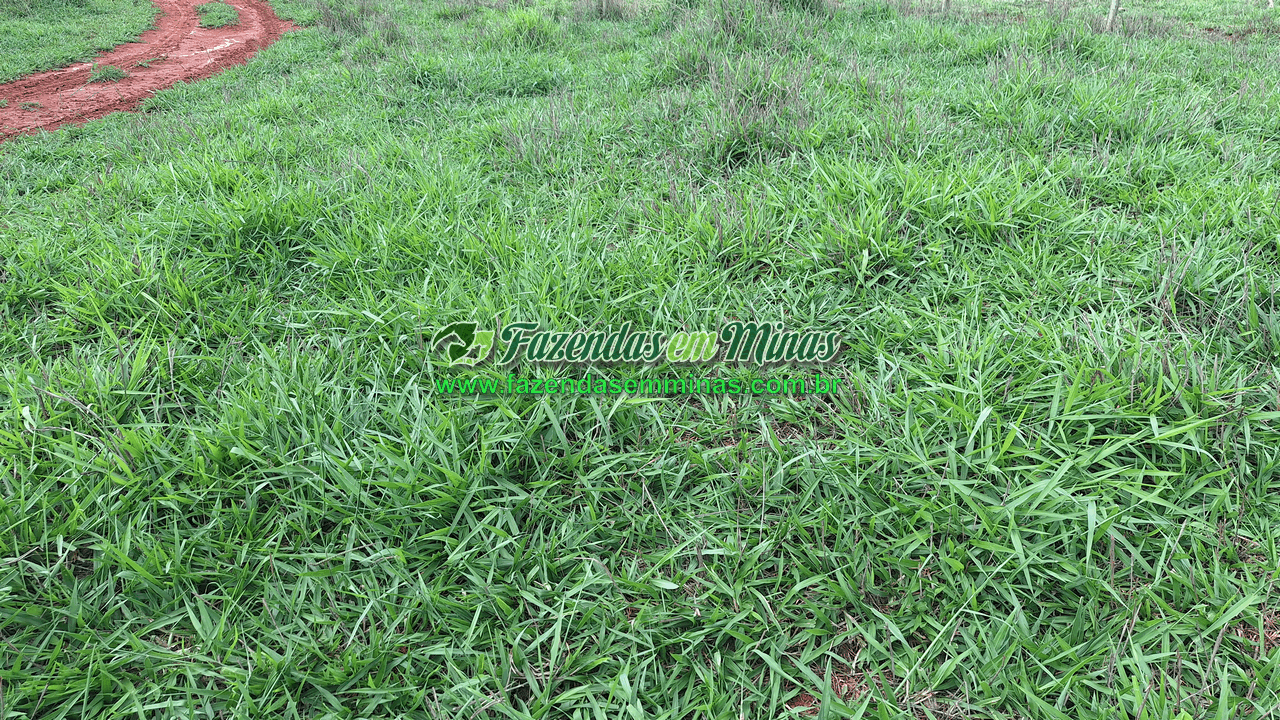 Cód.338         R$ 4.500.000,00