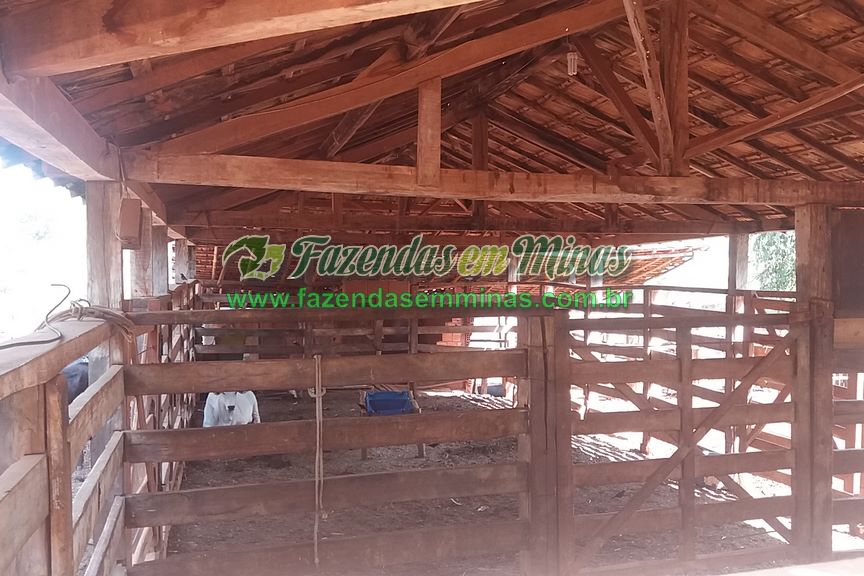 Cód.436               R$ 8.000.000,00