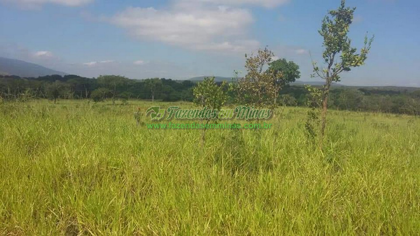 Cód.486              R$ 10.000.000,00