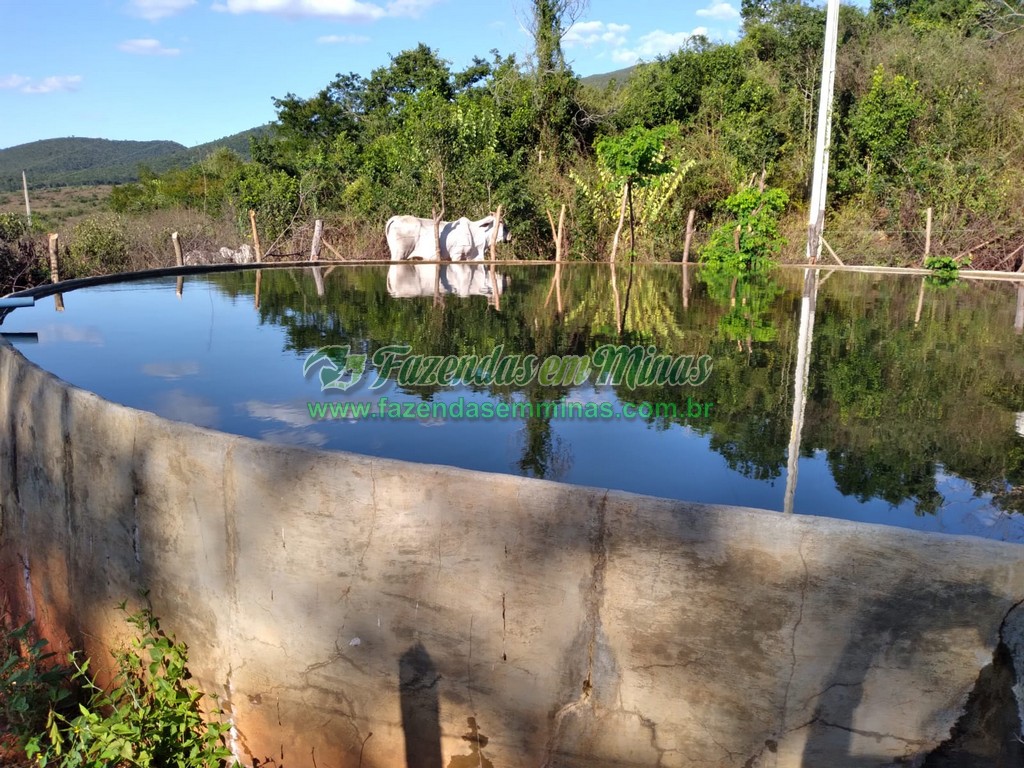 Cód. 490  R$ 2.300.000,00
