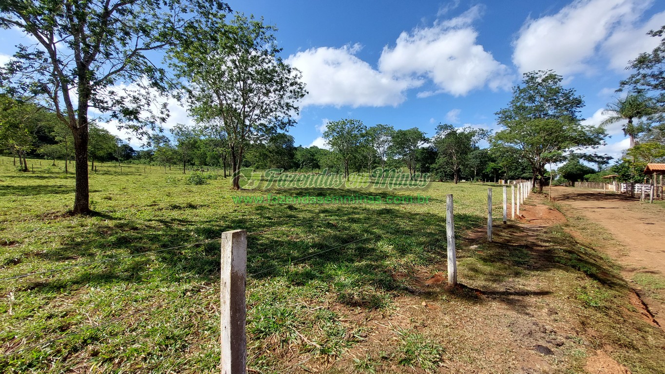 Cód. 493   R$ 1.450.000,00