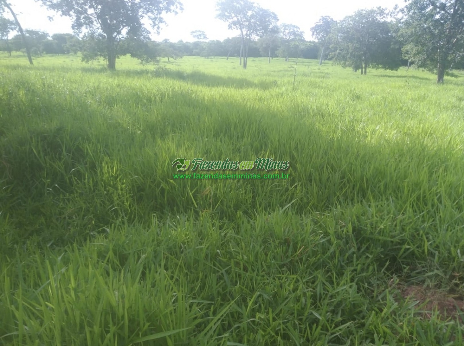 Cód.520          R$ 7.200.000,00