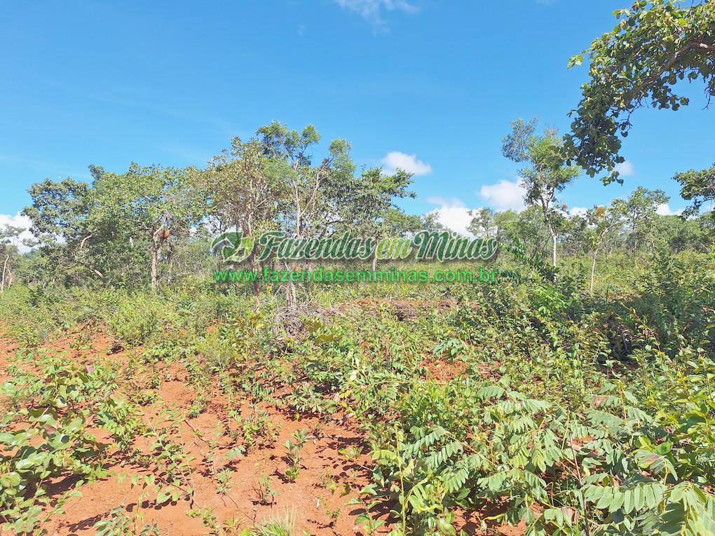 Cód.522     R$ 195.000,00