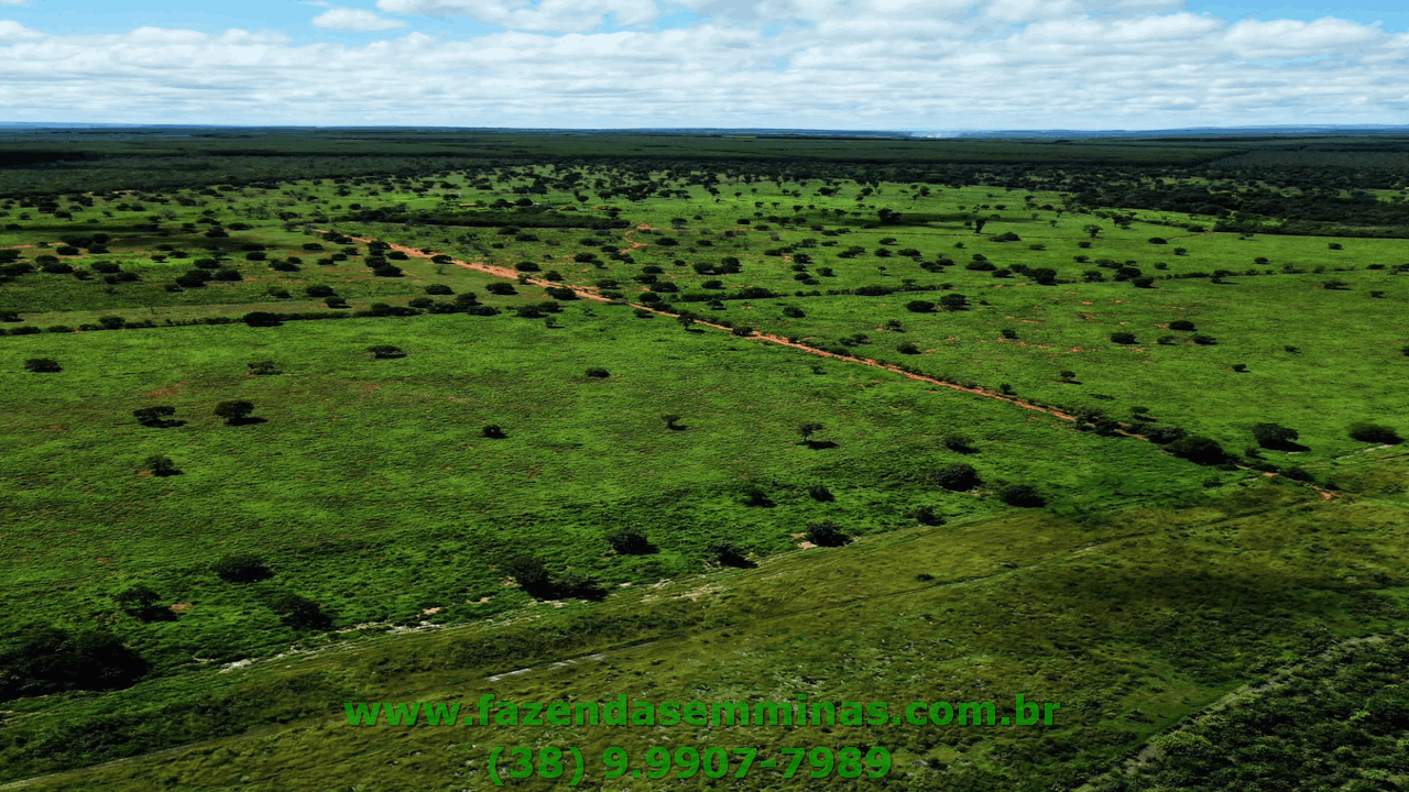 Cód. 593           R$ 6.080.000,00