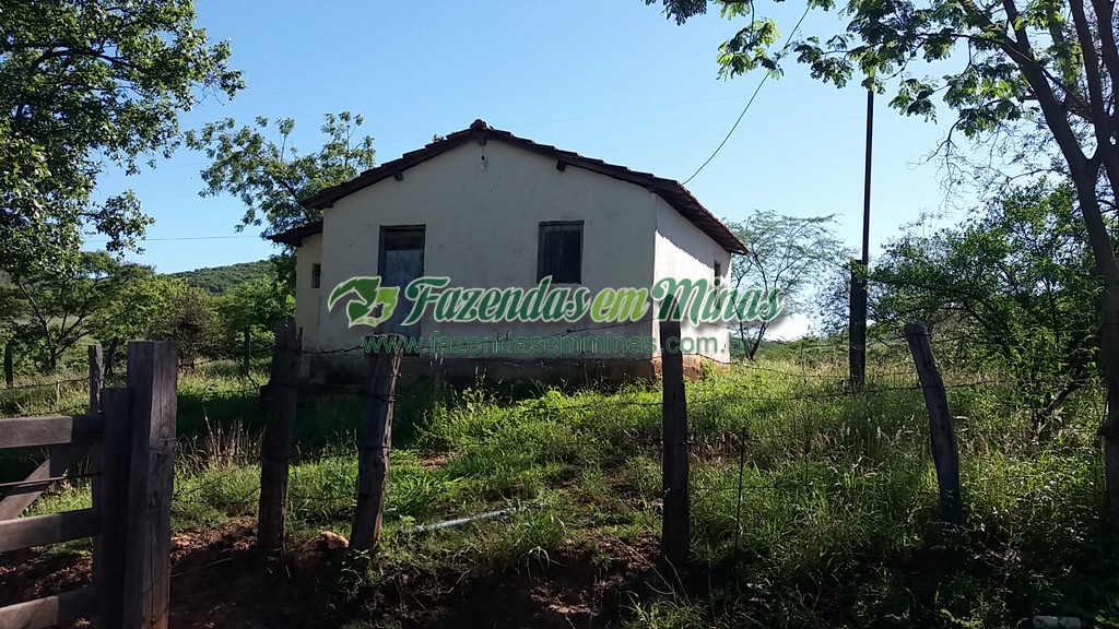 Fazenda 20 km do asfalto 
