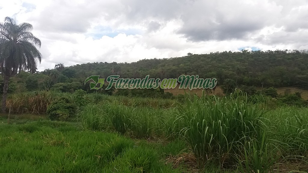 Fazenda município coração de Jesus para pecuária de leite e corte.