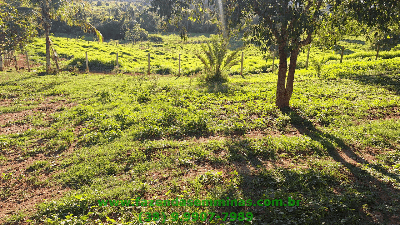 Sítio 4 hectares     R$ 600.000,00