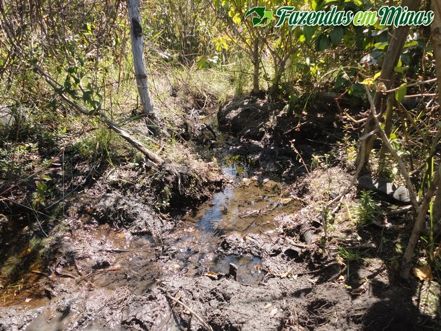 Fazenda para pecuária na Serra do Cabral 