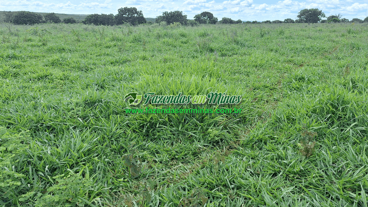 Cód.338         R$ 4.500.000,00