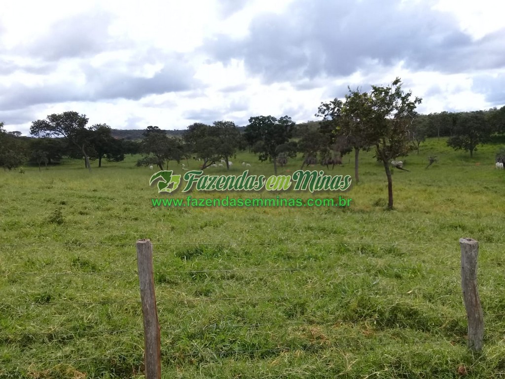 Cód.457          R$ 720.000,00