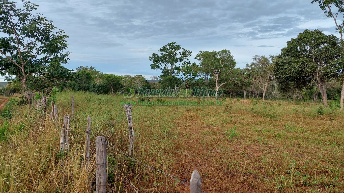 Cód. 495     R$ 1.800.000,00