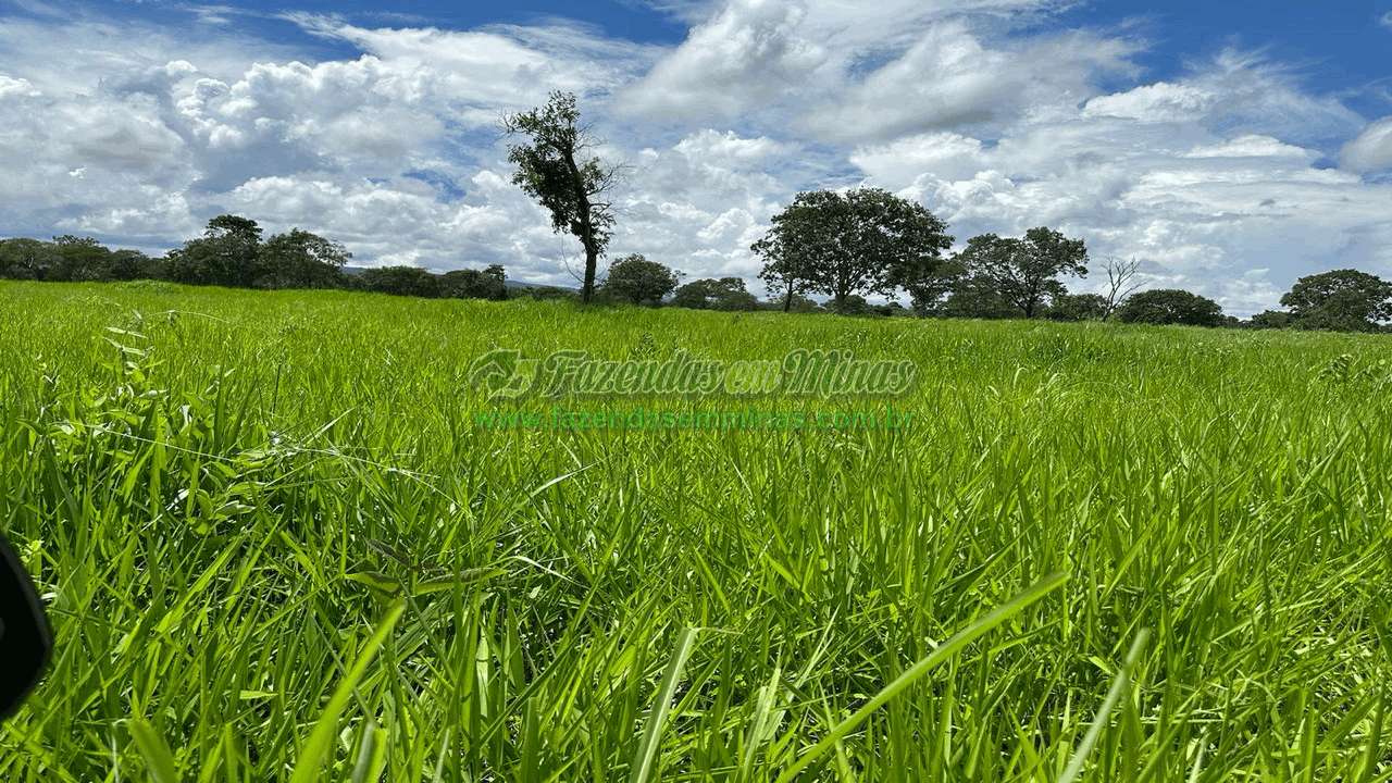 Cód.572         R$ 36.060.000,00