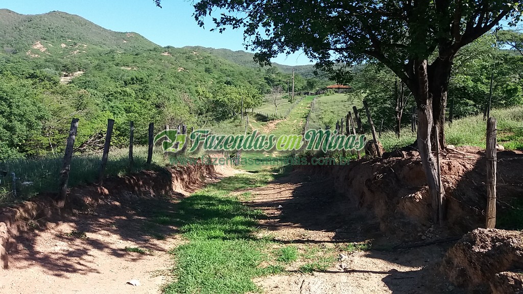 Fazenda 20 km do asfalto 